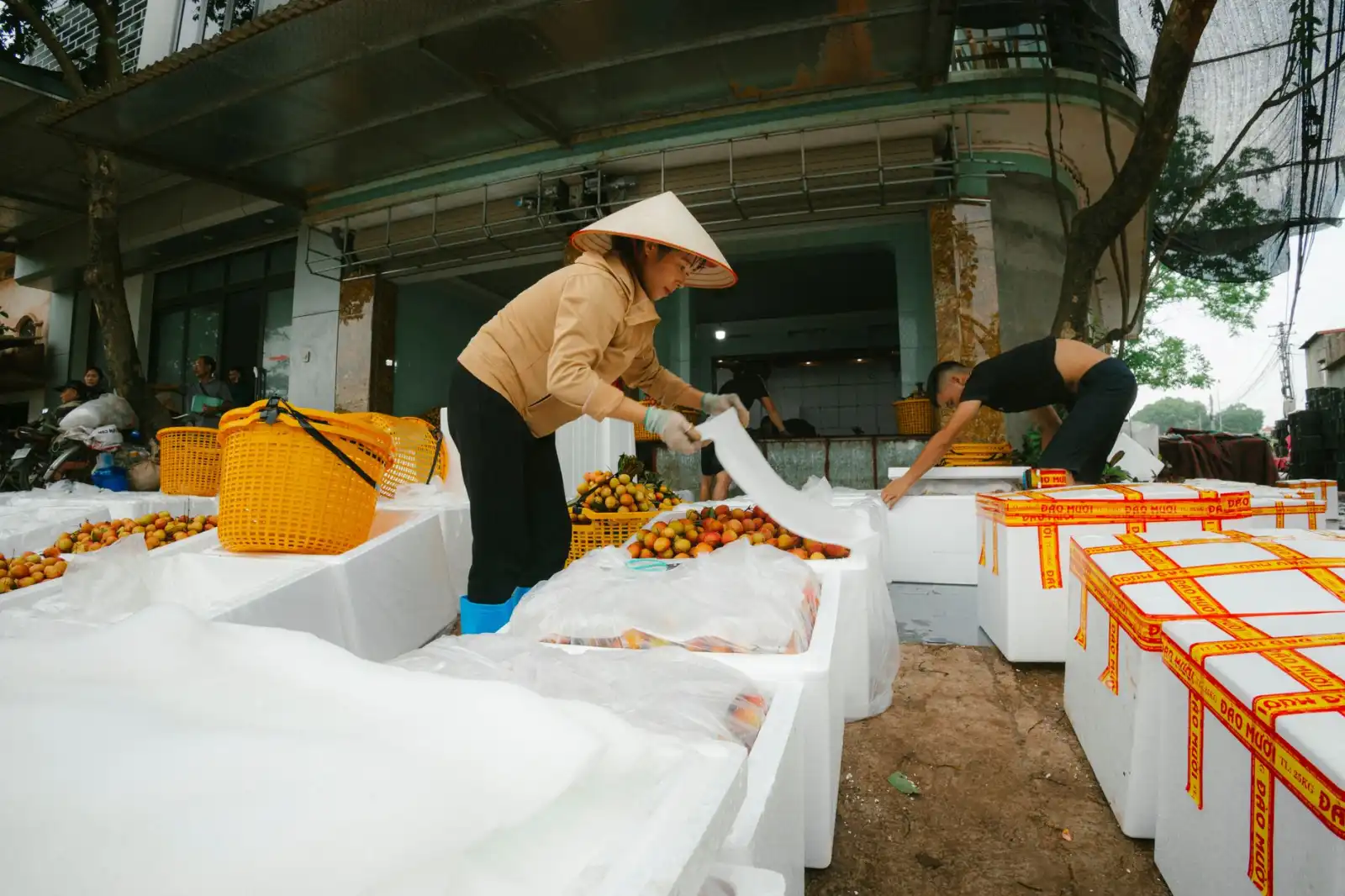 东北地区工矿灯选型要点与节能降本方案分析