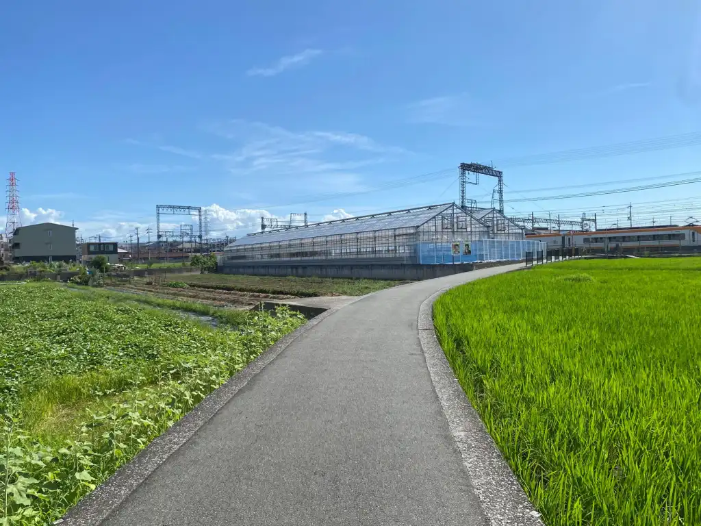 东北地区LED工矿灯在工厂节能改造中的选型要点分析