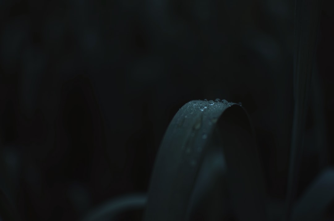 东北地区工矿灯LED节能改造技术要点与效益分析
