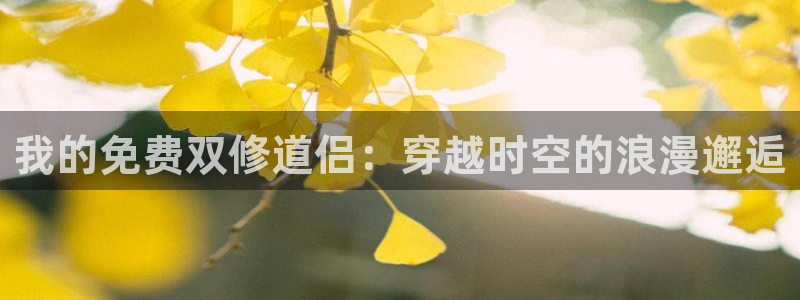 漫蛙网页版免费进入2025