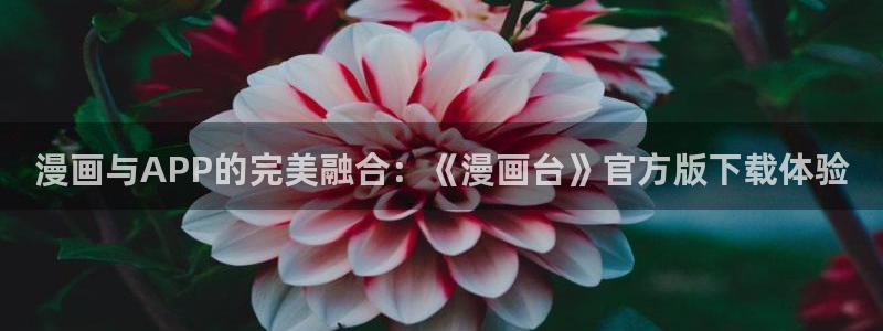 漫蛙漫画防走失网址