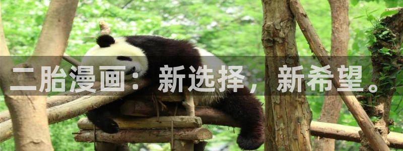 漫蛙成人