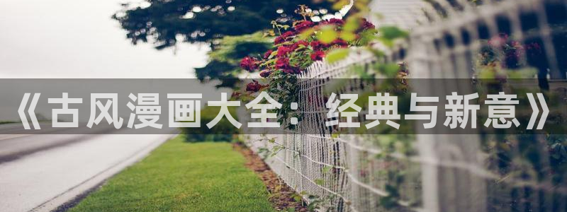 漫蛙漫画入口页面网页版下载测评