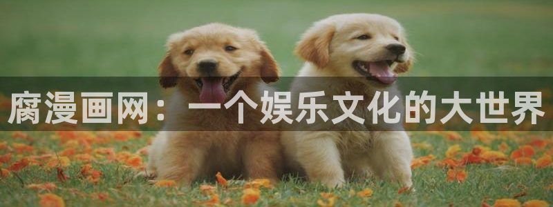 漫蛙manwa漫画在线观看