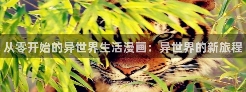 漫蛙免费漫画入口